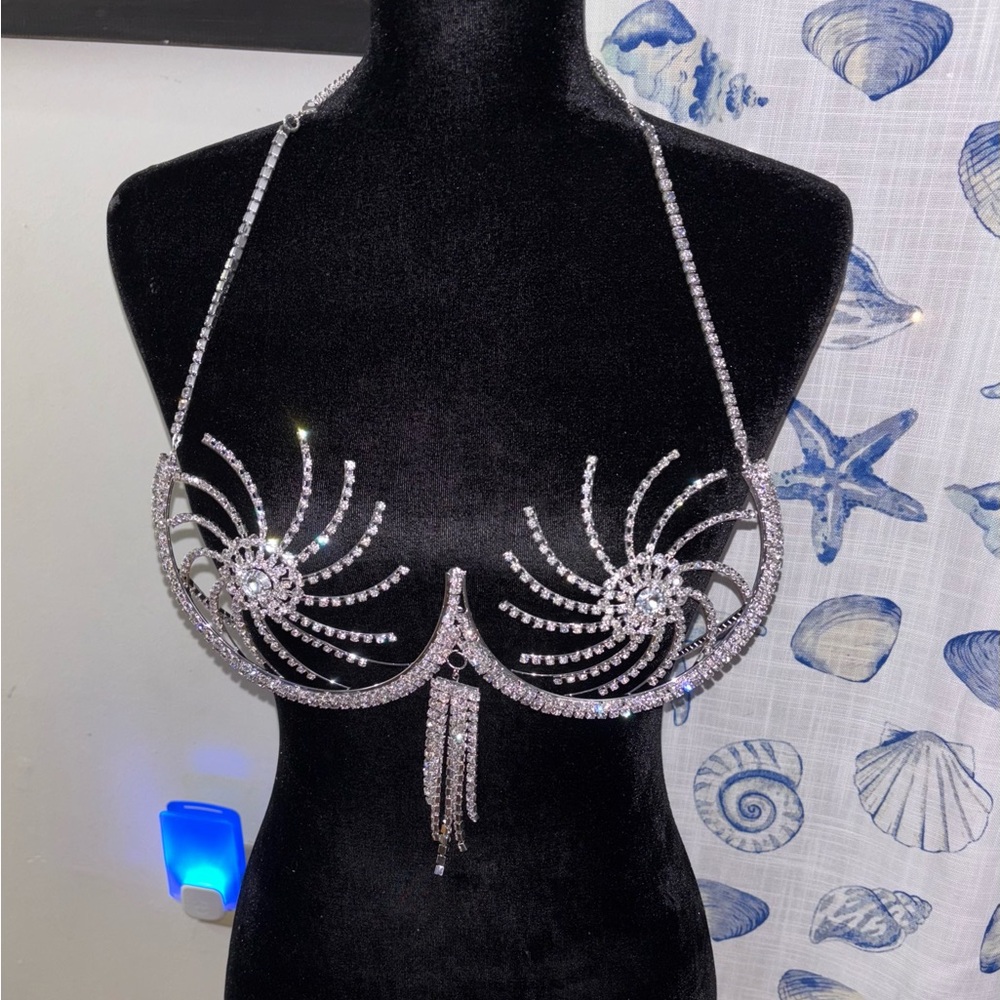 Silver Crystal Decorative Statement Bra